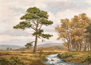 EGGINGTON Robert 1943,A scene of a moorland stream,John Nicholson GB 2021-06-23