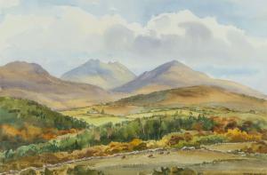 EGGINTON Robert 1943,SLIEVE BINNIAN NEAR TOLLYMORE,Ross's Auctioneers and values IE 2023-12-06