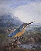 EHRICHT Ferdinand 1785-1804,Eisvogel in weiter Landschaft mit Bergmassiv,Palais Dorotheum 2015-04-01