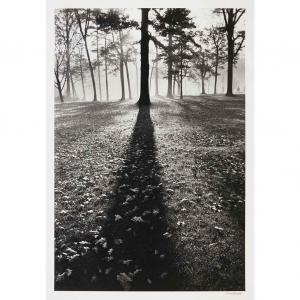 EISENSTAEDT Alfred,Autumn morning in West Virginia: Greenbrier Hotel,1938,William Doyle 2011-11-07