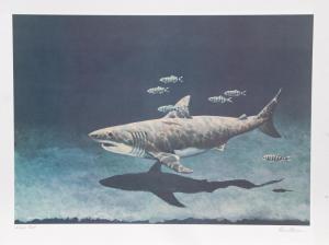 ELLIS Richard 1938,GREAT WHITE SHARK,1979,Ro Gallery US 2024-01-01