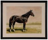 ELLIS Russ,Thoroughbred Horse,Brunk Auctions US 2016-07-08