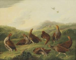 ELMER Stephen 1717-1796,A covey of partridges in a landscape,Sworders GB 2020-10-06