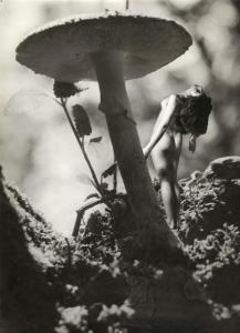 ELMERICH QUINIO,Femme sous un champignon,c.1950,Yann Le Mouel FR 2016-07-07