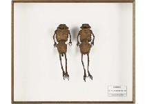EMOTO HAJIME 1970,Frog men (Mr.and Mrs.Toad): Amphibia,2004,Mainichi Auction JP 2019-09-07