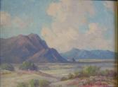ENGELHARDT William 1900-1900,Desert landscape with wild flowers,20th century,O'Gallerie 2008-05-07