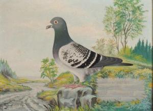 ENGELS E 1900-1900,Pigeon,1929,David Lay GB 2015-01-15