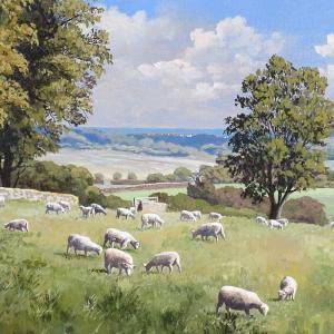 ENGLEFIELD Nicholas,sheep at East Dean,Burstow and Hewett GB 2020-07-15