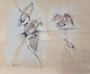 ENNION Eric Arnold Roberts 1900-1981,Collared Doves,1972,Lacy Scott & Knight GB 2023-06-16