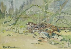 ENNION Eric Arnold Roberts 1900-1981,Hen pheasant amongst leaves,Sworders GB 2024-11-19