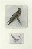 ENNION Eric Arnold Roberts 1900-1981,Montagu's harrier,Sotheby's GB 2007-10-25