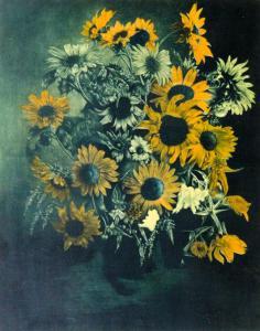 ERHARD Schiel 1943,Blumen in dunkler Vase,Leo Spik DE 2015-12-10