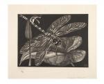 ESCHER Maurits Cornelis 1898-1972,Libellula (Dragonfly),Zeeuws NL 2022-11-22