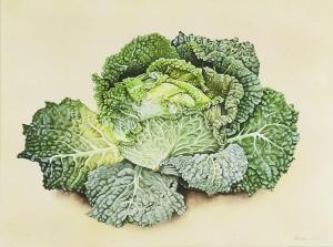 ESCOFET Miriam 1967,Savoy Cabbage,Canterbury Auction GB 2021-10-02