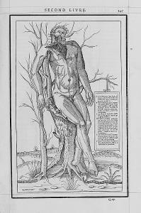 ETIENNE Charles 1800-1800,La dissection des parties du corps humain, 3 parts,Sotheby's GB 2005-11-08
