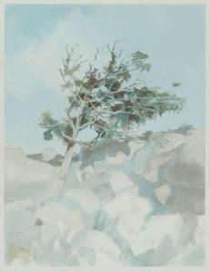 Evans David 1929-1988,SYCAMORE TREE AT MURLOUGH BAY,1987,Ross's Auctioneers and values IE 2024-01-24