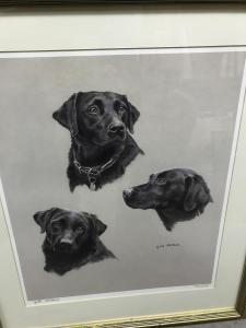 EVANS Gill 1939,Study of three black Labrador heads,Moore Allen & Innocent GB 2021-05-26