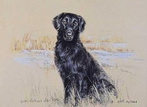 EVANS Gill 1939,WORKING RETRIEVER,Ross's Auctioneers and values IE 2020-05-07