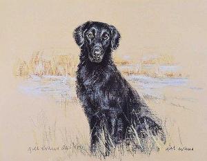 EVANS Gill 1939,WORKING RETRIEVER,Ross's Auctioneers and values IE 2020-11-04
