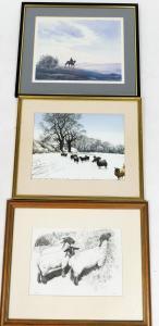 Evans jennifer,Welsh black mountain sheep in a snowy landscape,Golding Young & Co. GB 2021-09-08