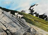 EVANS Richard 1928-2008,Big Horn Sheep, Grandfather Mountain,1990,Skinner US 2009-09-11