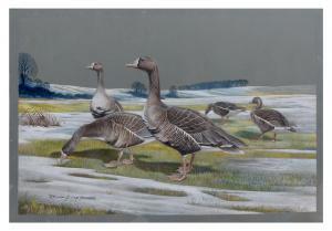EVANS Richard 1928-2008,Canadian Geese in a Thawing Landscape,1963,Burchard US 2020-07-19