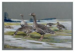 EVANS Richard 1928-2008,Canadian Geese in a Thawing Landscape,1963,Burchard US 2020-08-16