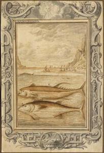 FÜSSLI Johann Melchior 1677-1736,Tuna fish,2005,Galerie Koller CH 2020-09-25