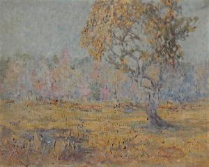 F A KEEFOVER 900-900,Lone Tree in Landscape,Burchard US 2014-03-23