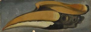 FAILLON PETER 1760,Study of a Toucan Skull,1760,Mossgreen AU 2017-02-05