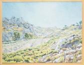 Fairbairn Edward 1950,A young olive grove in the Alpilles, Provence,Christie's GB 2007-08-22