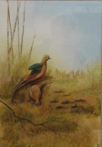 Fairbrass Alan,Pheasants,1981,Rowley Fine Art Auctioneers GB 2022-07-02