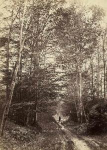 FAMIN Constant 1827-1888,Path in woods,Galerie Bassenge DE 2020-12-02