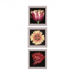 FEINSTEIN Harold 1931-2015,Three Large Floral Photographs,2003,Leland Little US 2021-04-02