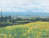 Fennelly Ian,Rapeseed Field, Burton,1992,Peter Wilson GB 2023-03-23