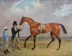 FERNELEY Jr. John,A bay racehorse being held, with a jockey standing,Woolley & Wallis 2024-03-06