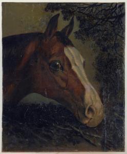 FERNELEY Jr. John 1815-1862,HEAD OF A HORSE,Mellors & Kirk GB 2016-03-23