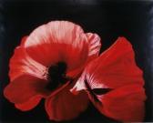 FERRARI Carlo 1946,UNTITLED TWO RED FLOWERS,2000,Clark Cierlak Fine Arts US 2014-04-26