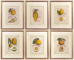 FERRARI Giovanni Battista 1584-1655,fruit (6),Eldred's US 2022-06-17