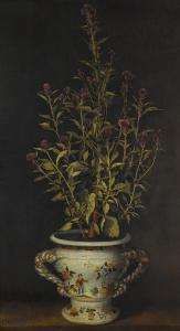 FERRERS Benjamin 1695-1732,A PLANT,Sotheby's GB 2016-12-08