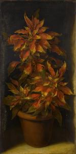 FERRERS Benjamin 1695-1732,Still life of an Amaranthus tricolor in a terracot,Sotheby's 2022-07-07