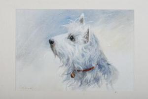 FERRIER,A West Highland White Terrier,David Lay GB 2014-04-03