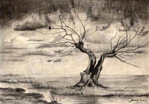 FESZTY Masa 1895-1979,Tree of Solitude,Kieselbach HU 2023-12-17
