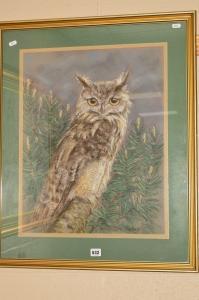 FIELDEN Joan 1900-1900,EAGLE OWL,Richard Winterton GB 2020-02-18