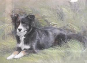 FIELDEN Joan 1900-1900,study of a Border Collie resting in the undergrowt,Cuttlestones GB 2019-09-12