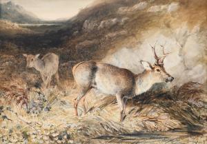 FIELDING Newton Smith Limbird,Roe Deer near Loch Rannoch, Scotland,1846,Woolley & Wallis 2023-03-08