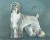 Fields M,Afghan hound,Bonhams GB 2006-02-14