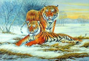 FINCH William 1900-1900,Tigers in a Winter Landscape,John Nicholson GB 2016-05-11
