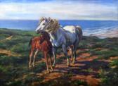 FIRTH WILLIAM,standing mare and foal on headland,Rogers Jones & Co GB 2017-06-02