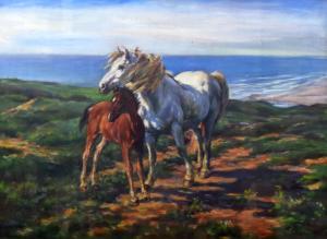 FIRTH WILLIAM,standing mare and foal on headland,Rogers Jones & Co GB 2017-06-02